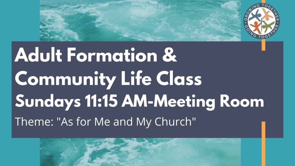 Sundays at 11:15 am you'll find us in the Meeting Room, learning & growing together.